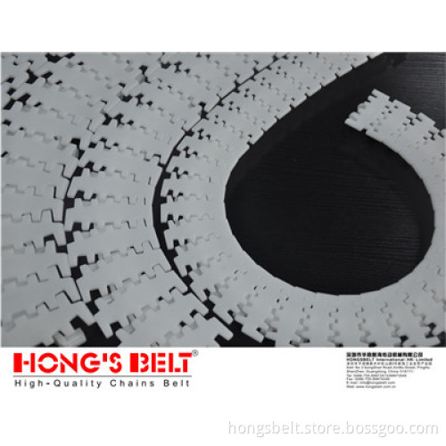 The Beverage Industry Flexible Plastix Chains (HS-7100-83)